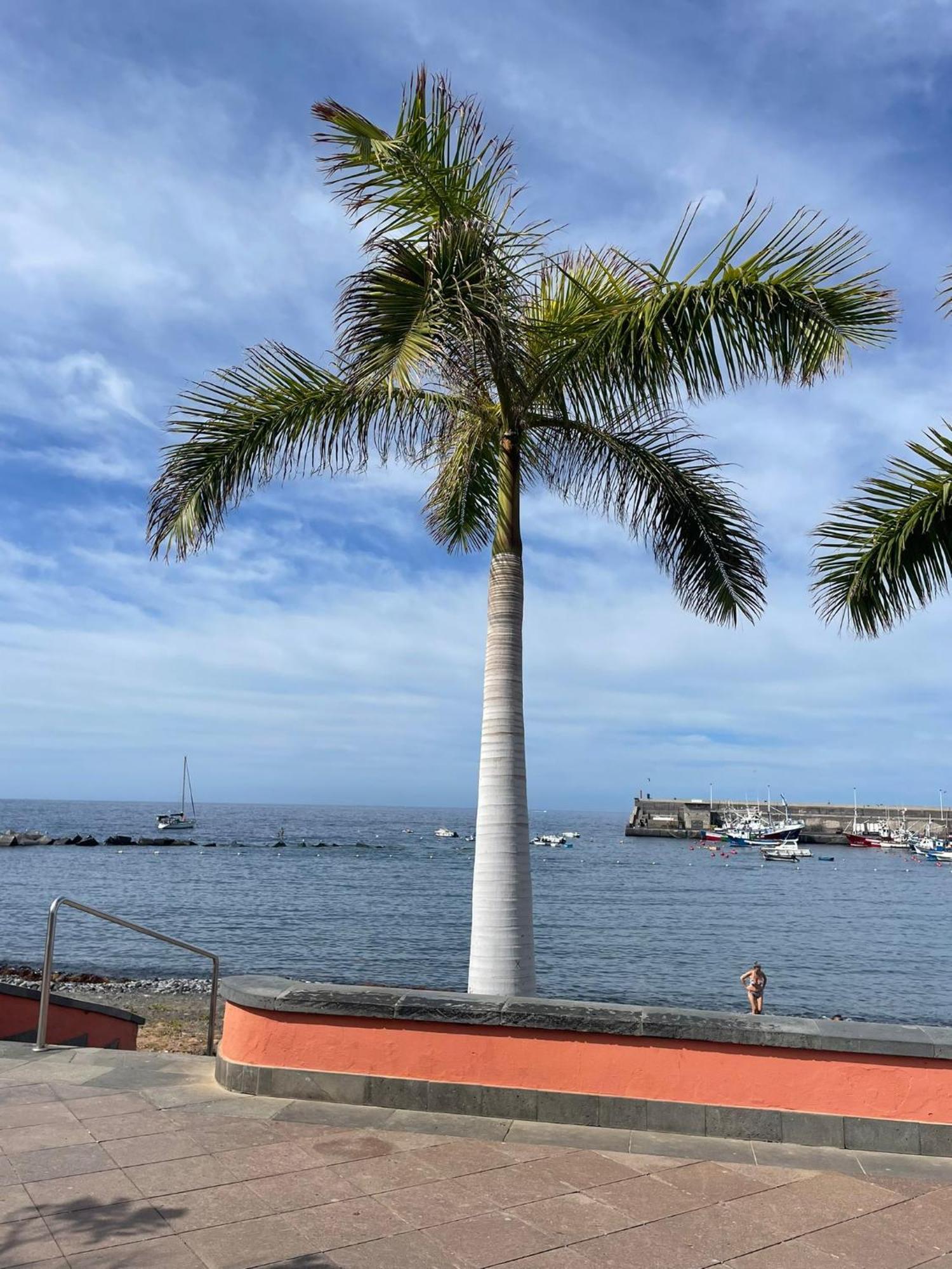 Seaside Paradise - 2 Bedroom Apartment With Ocean Views & Air Conditioning In Playa San Juan Buitenkant foto
