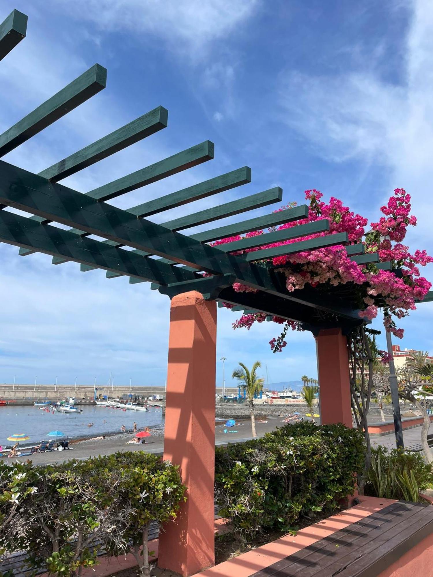 Seaside Paradise - 2 Bedroom Apartment With Ocean Views & Air Conditioning In Playa San Juan Buitenkant foto